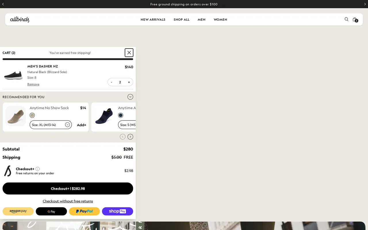 allbirds.com checkout information step